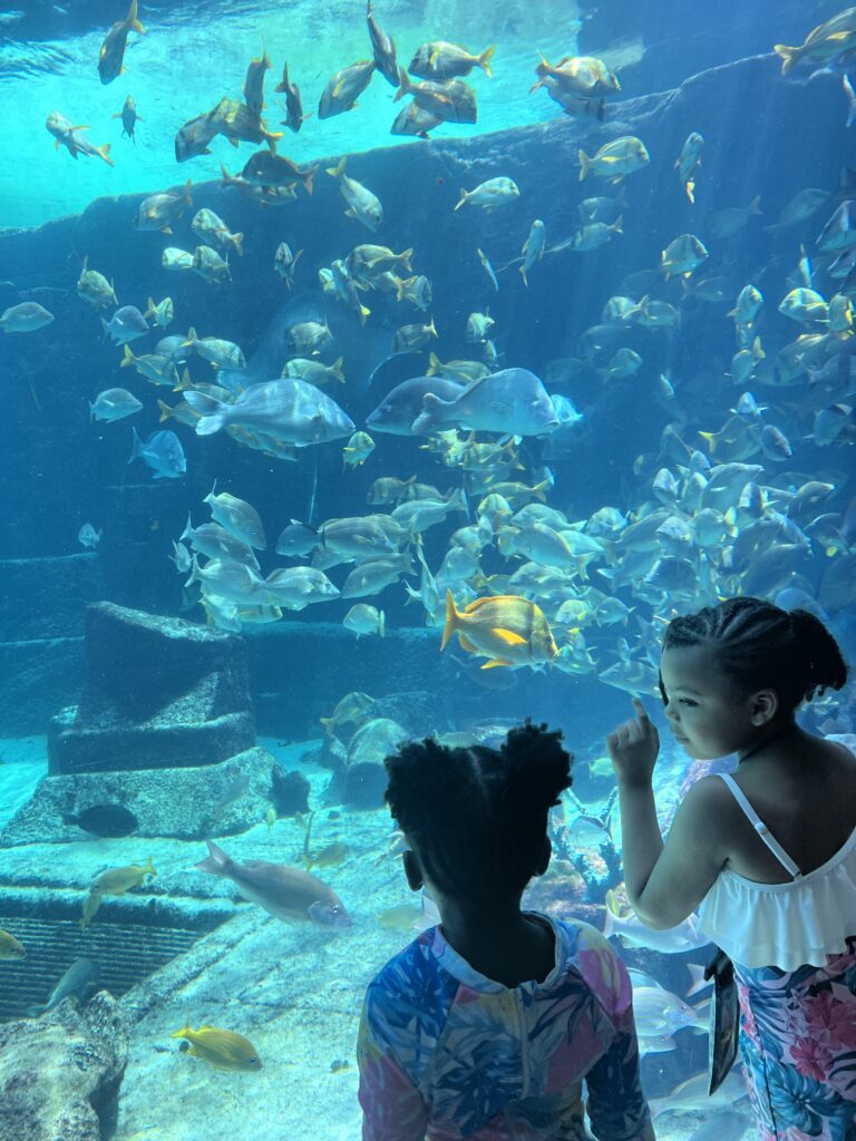 little girls looking at the fish in a aquarium at Atlantis resort